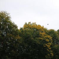 2. Manschaft vs. 2. Höckendorf